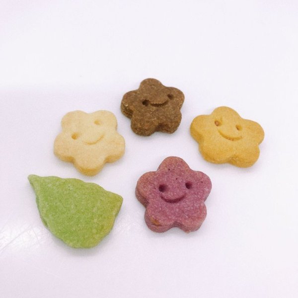 画像4: くまちゃんの白いケーキ[ぷぅのおひるね](１２cm)4号 (4)